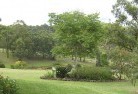 Yarwunresidential-landscaping-40.jpg; ?>